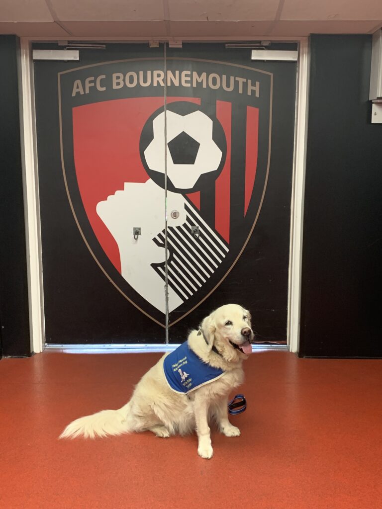 Helpful Hounds Assistance Dogs have been chosen as Charity Partners by AFC Bournemouth